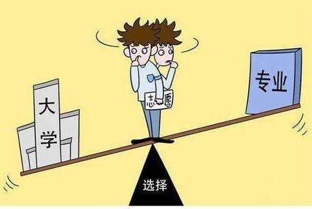 专业选择